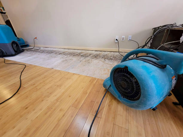 Professional Water Extraction technician working in Warwick, MA